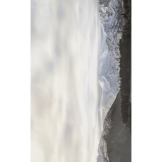 Wanaka бежевый декор 3 250х400